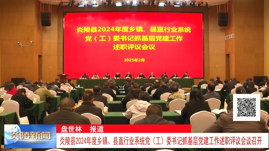 炎陵县2024年度乡镇、县直行业系统党（工）委书记抓基层党建工作述职评议会议召开