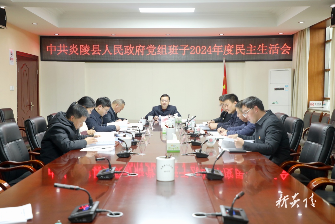 县政府党组召开2024年度民主生活会