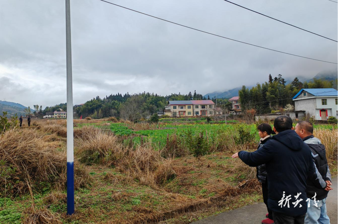 炎陵县水口镇：发放农资暖民心 护航油菜助增长