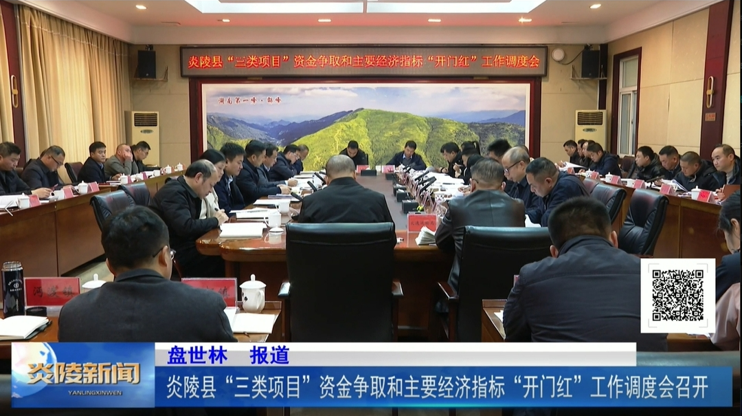 炎陵县“三类项目”资金争取和主要经济指标“开门红”工作调度会召开