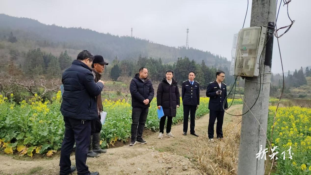 炎陵县水口镇：坚决守住耕地红线 联合执法制止基本农田种树行为