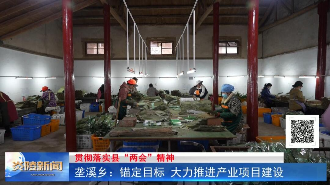 垄溪乡：锚定目标 大力推进产业项目建设