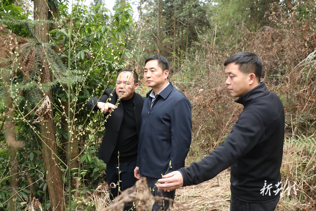 ​ 尹朝晖到湖南省麦芽药业有限公司调研