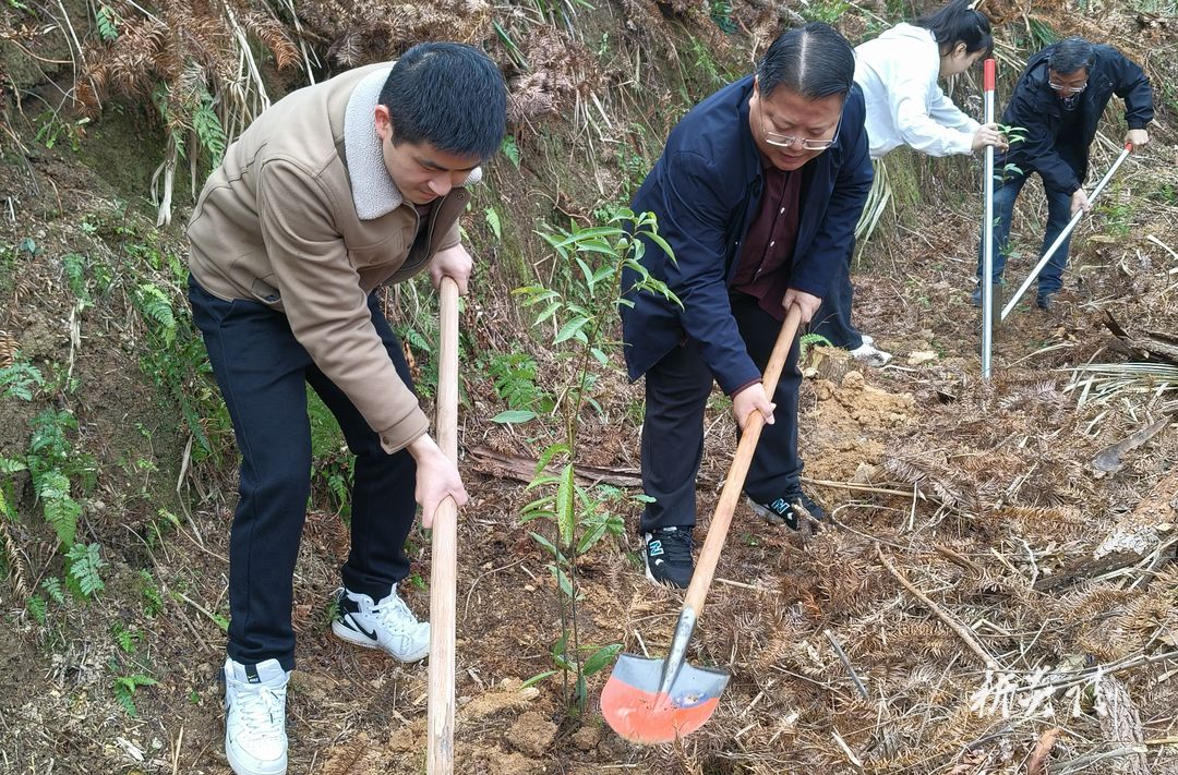 炎陵县部分部门乡镇开展“3.12”义务植树活动