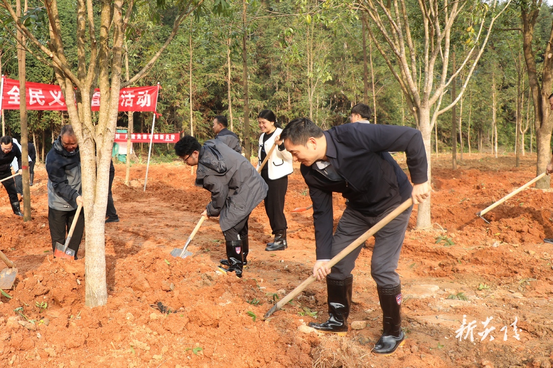 炎陵县开展全民义务植树活动 尹朝晖夏胜利参加