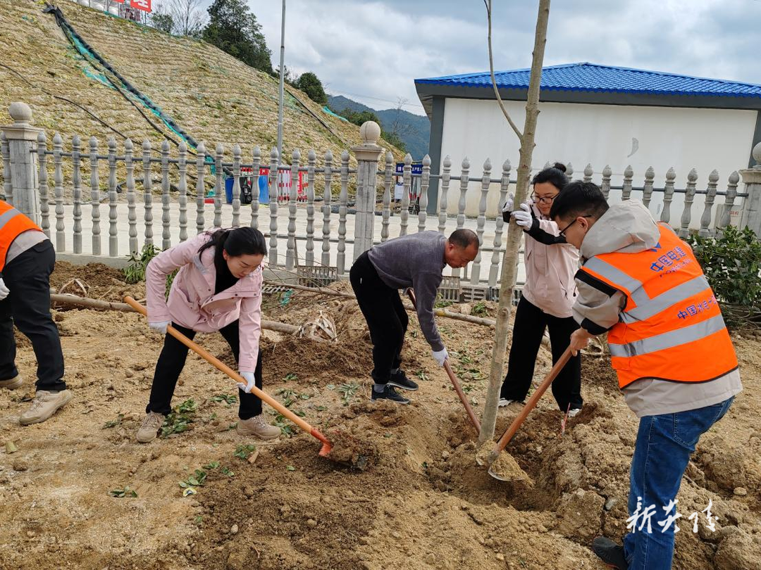 炎陵县下村乡：湘赣边界联动植树 共筑“生态绿廊”守护美好家园