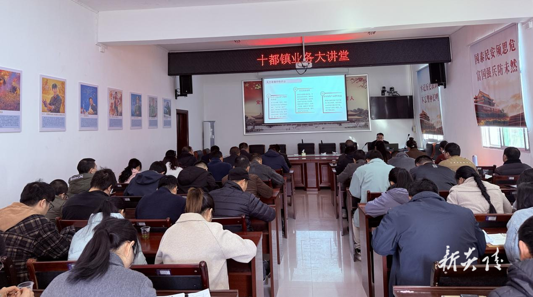 炎陵县十都镇：举办业务大讲堂 以“三型三业三地”擘画高质量发展蓝图