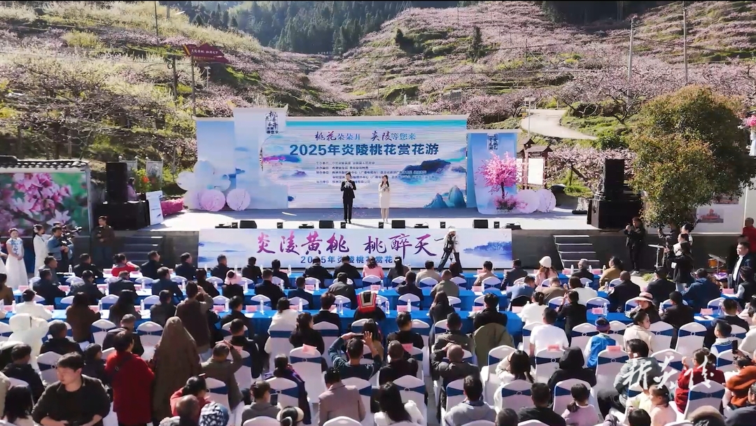 “桃花朵朵开 炎陵等您来”——2025年炎陵桃花赏花游主题活动在中村瑶族乡开幕