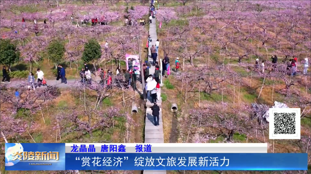 “赏花经济”绽放文旅发展新活力