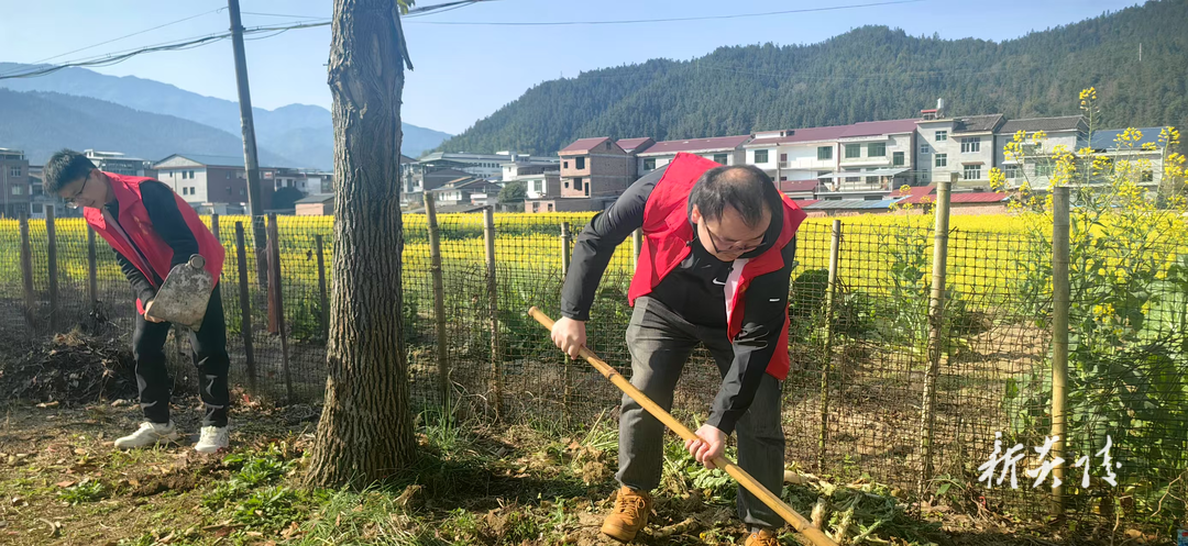 炎陵县十都镇：植绿添彩正当时 共绘生态宜居新图景