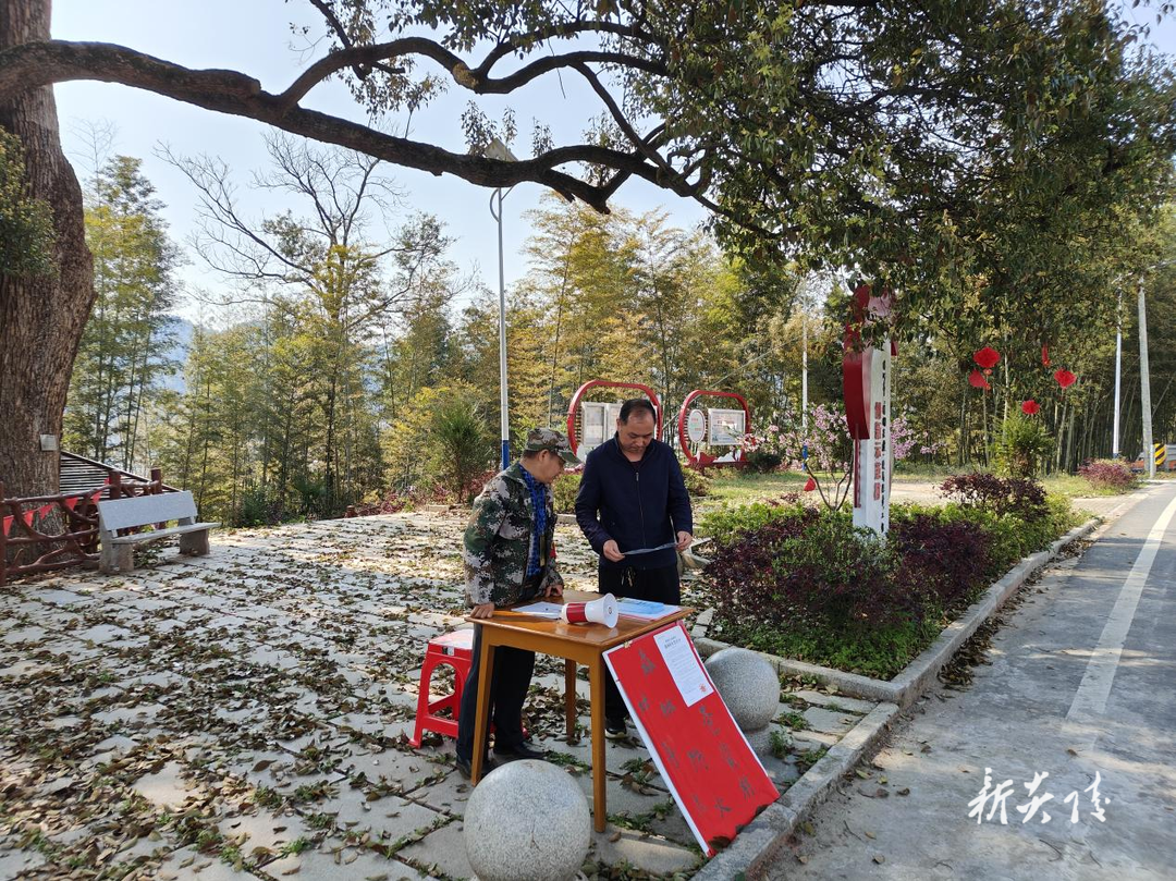 炎陵县沔渡镇：“三全”护绿意 筑牢“防火墙”
