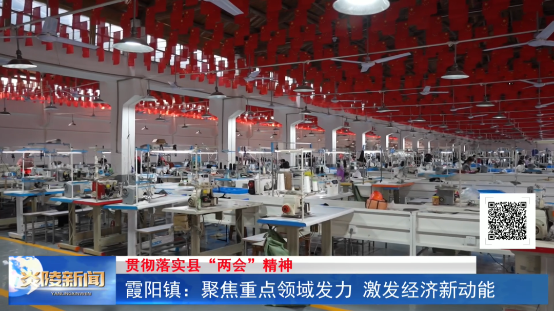 霞阳镇：聚焦重点领域发力 激发经济新动能