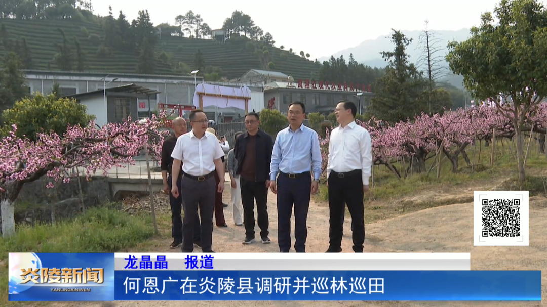 何恩广在炎陵县调研并巡林巡田