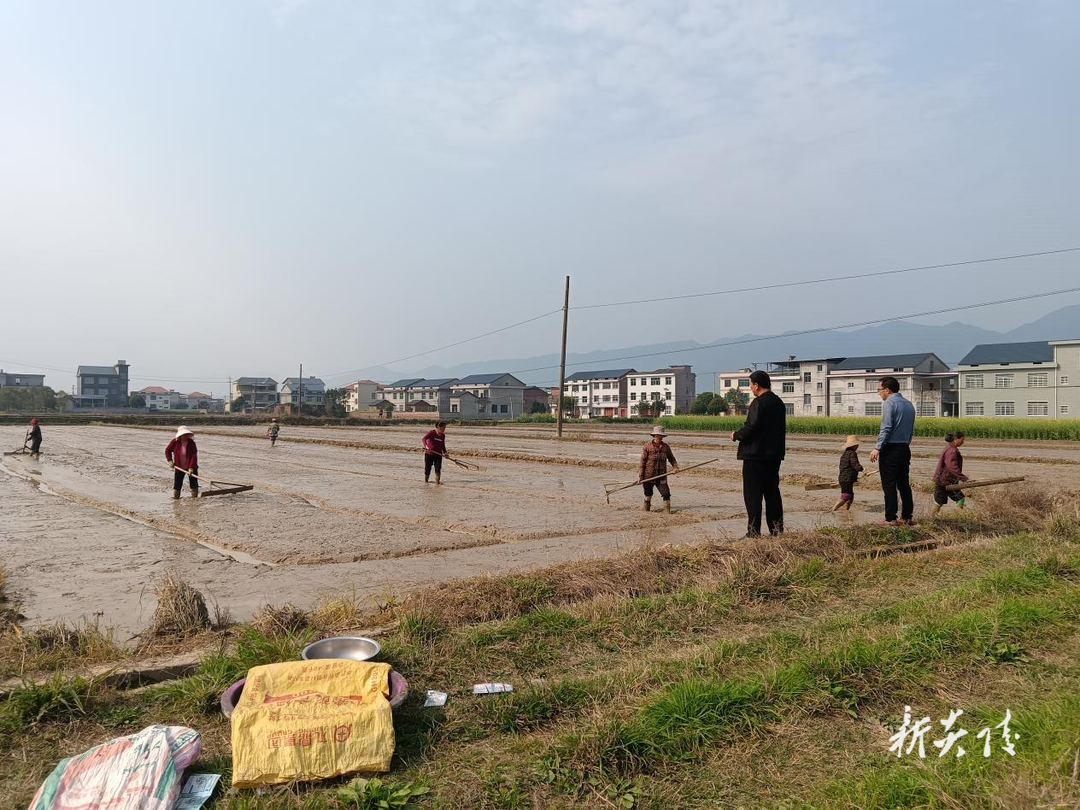 炎陵县霞阳镇：人大代表助春耕 田间地头显担当