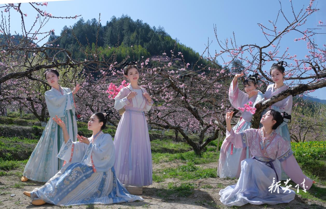 炎陵县中村瑶族乡：千亩桃林迎客来 汉服花海醉春风