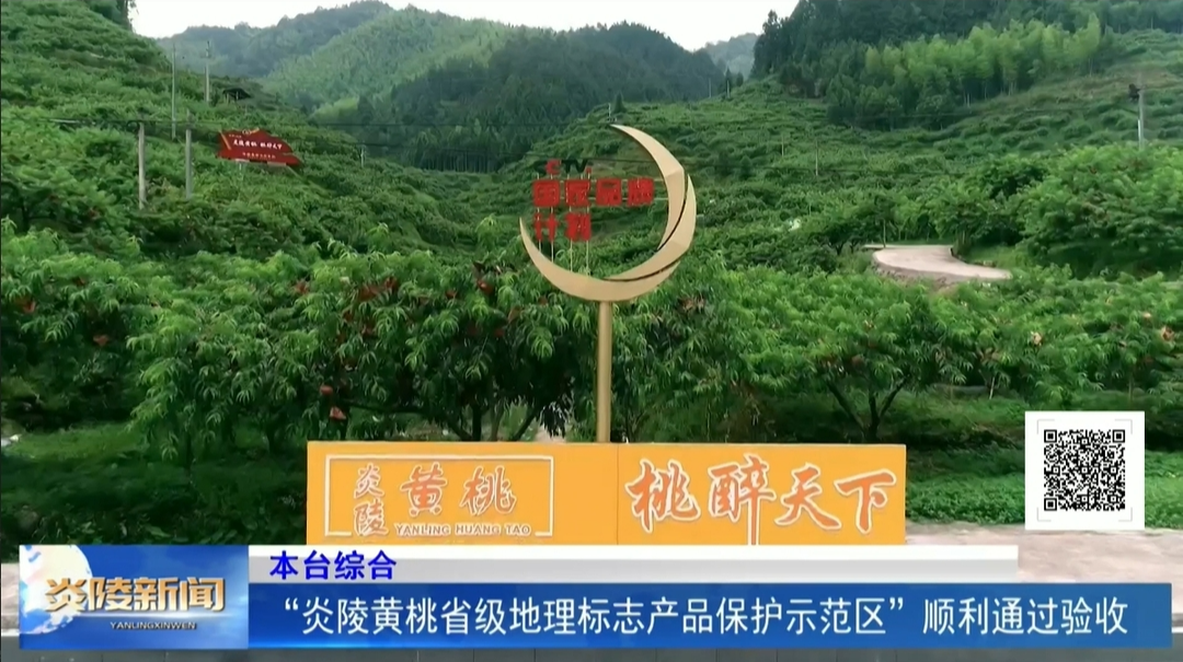 “炎陵黄桃省级地理标志产品保护示范区”顺利通过验收