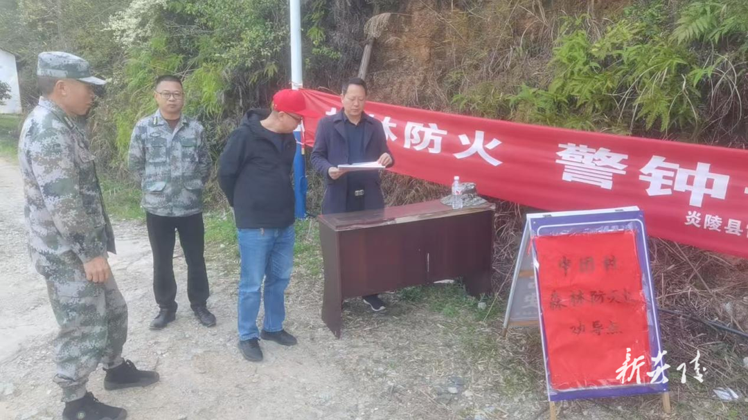 炎陵县霞阳镇：人大代表“三力”齐发 筑牢森林“防火墙”