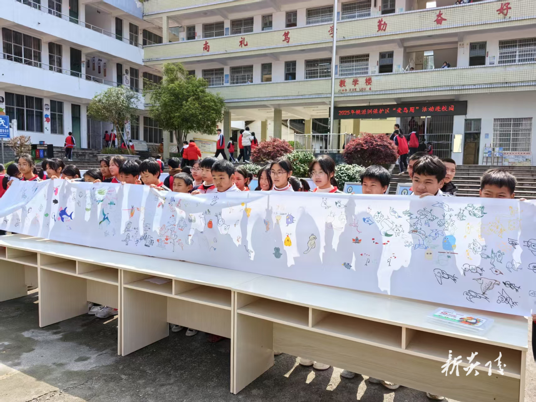 炎陵县林业局：爱鸟护鸟 共筑和谐