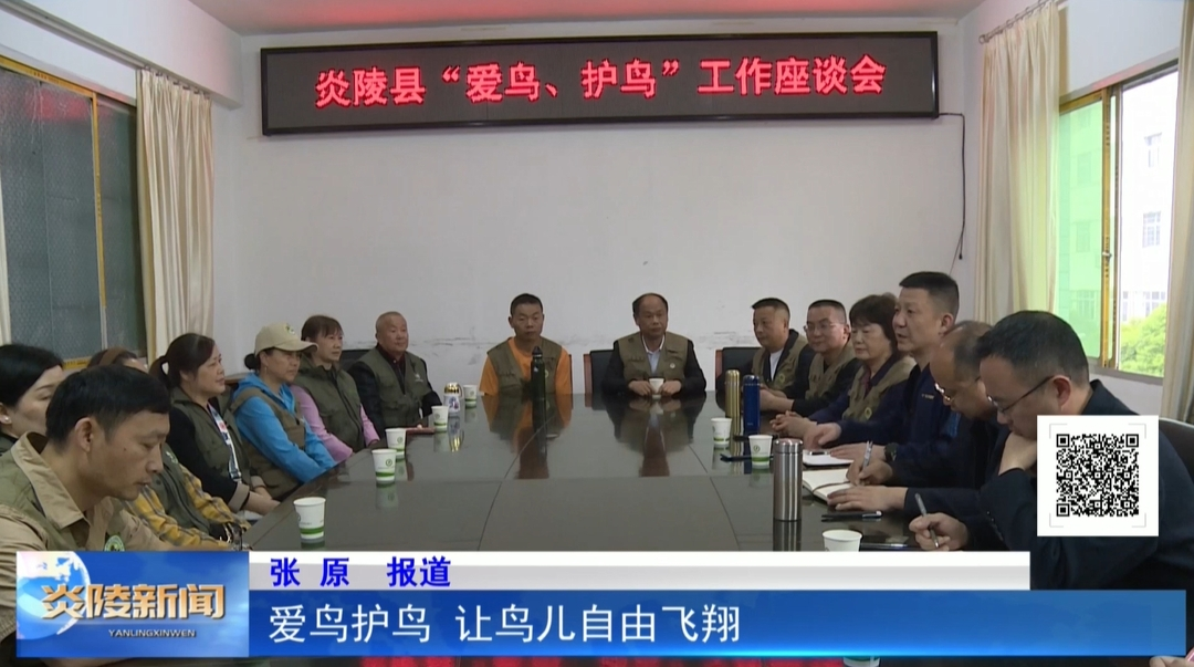 爱鸟护鸟 让鸟儿自由飞翔