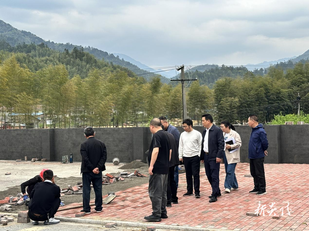 炎陵县十都镇：人大代表聚焦民生项目视察 助力和美乡村建设