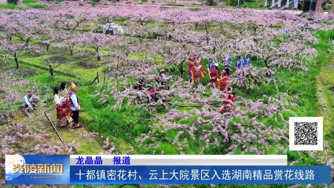 十都镇密花村、云上大院景区入选湖南精品赏花线路