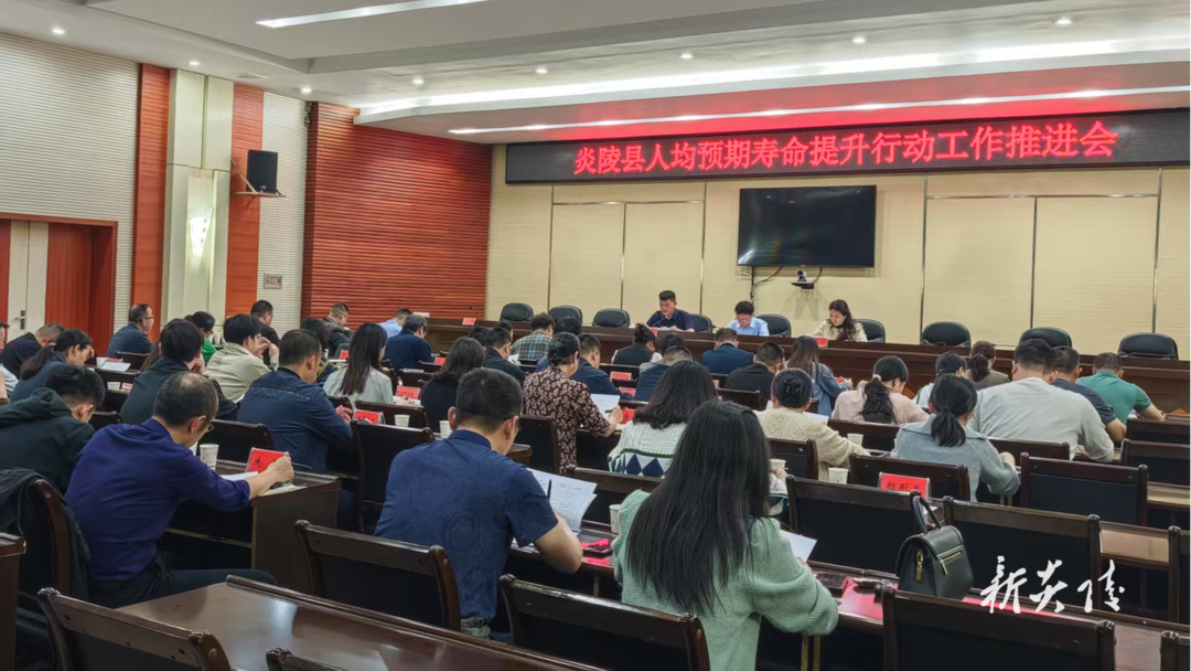 【健康炎陵行动】炎陵县召开人均预期寿命提升行动工作推进会