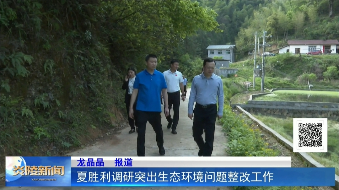 夏胜利调研突出生态环境问题整改工作