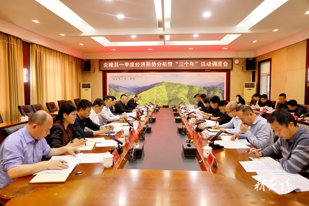 炎陵县一季度经济形势分析暨“三个年”活动调度会召开