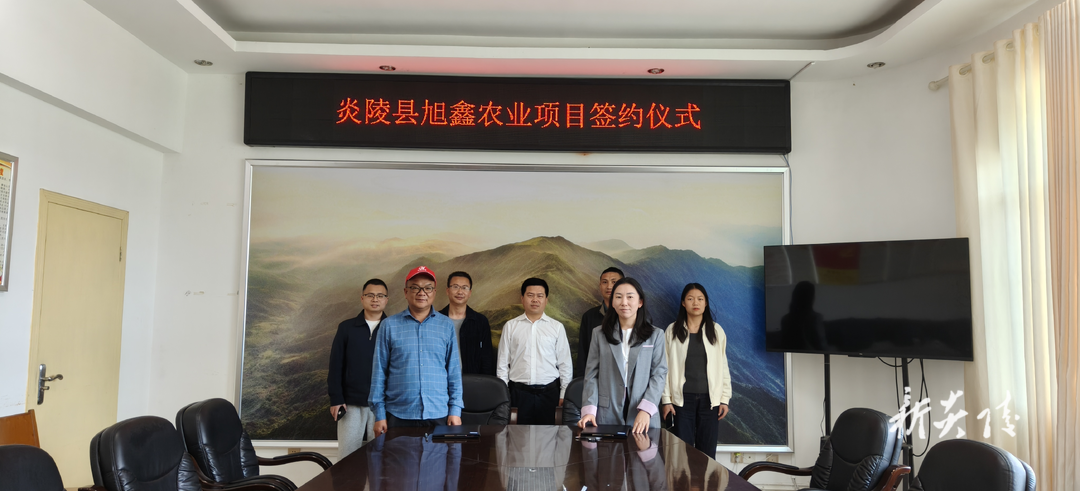 炎陵县下村乡与旭鑫农业项目举行签约仪式