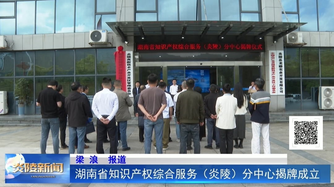 湖南省知识产权综合服务（炎陵）分中心揭牌成立