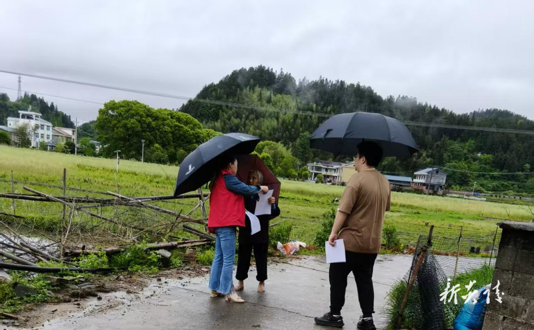 炎陵县沔渡镇：迎汛而上筑防线 守护群众安全