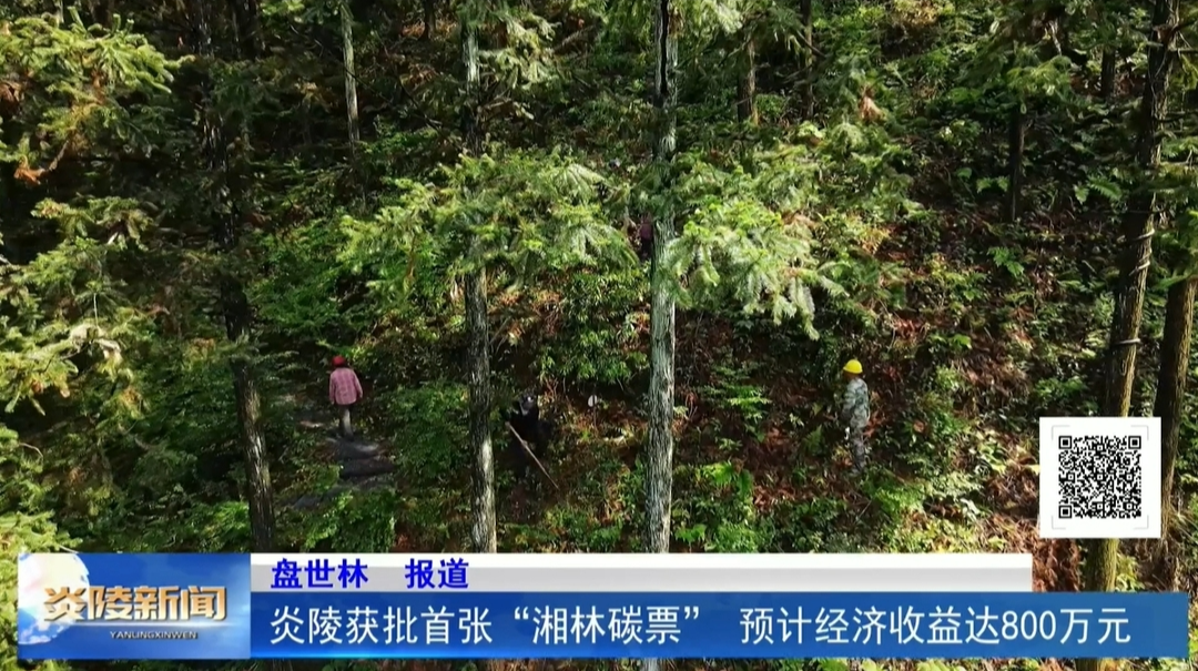 炎陵获批首张“湘林碳票” 预计经济收益达800万元