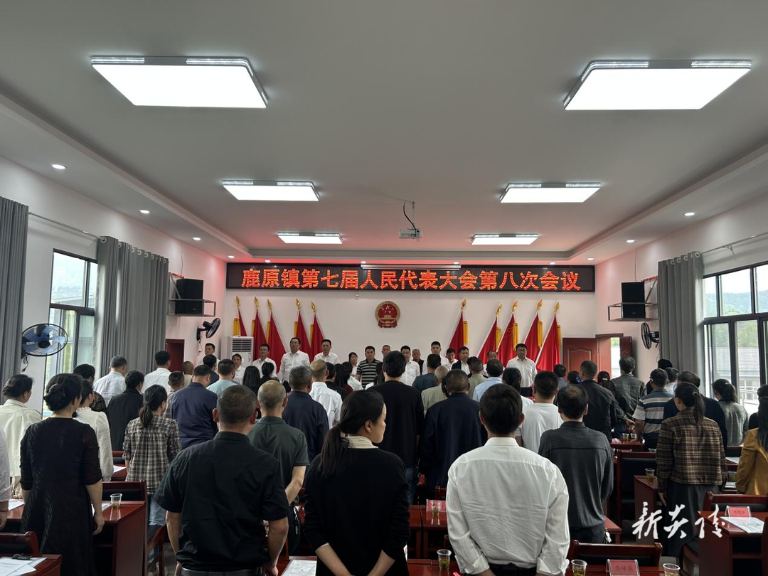 炎陵县鹿原镇召开第七届人民代表大会第八次会议
