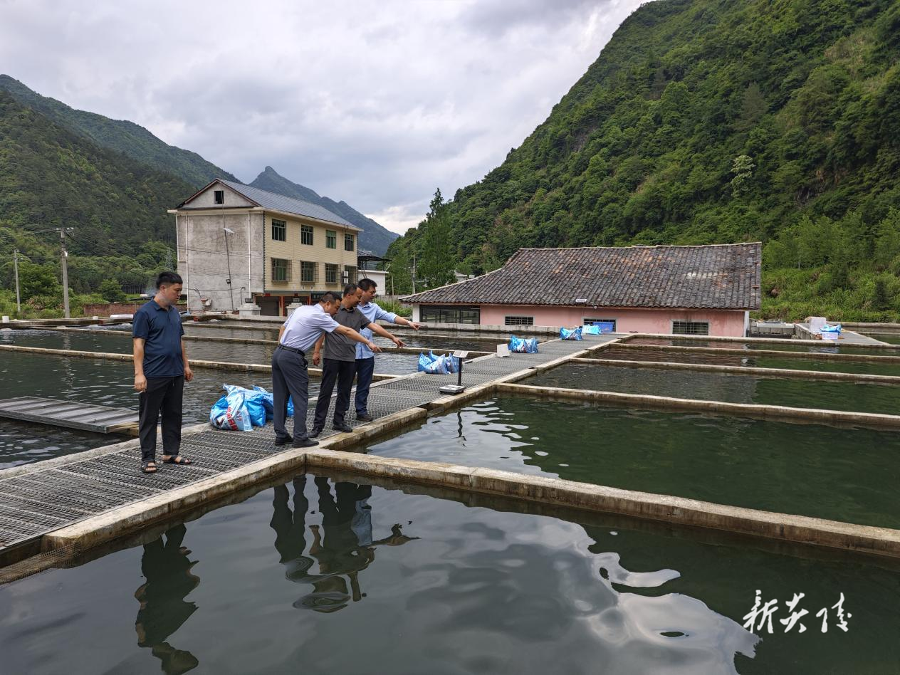 炎陵县中村瑶族乡：筑牢红星桥村冷水鱼养殖“安全堤” 汛期生产不放松