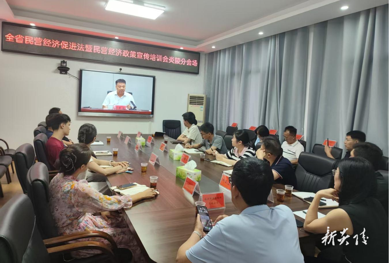 炎陵县组织参加民营经济促进法暨民营经济政策宣传培训