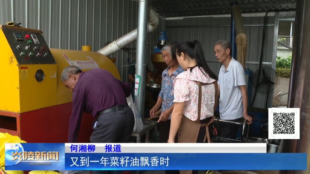 又到一年菜籽油飘香时