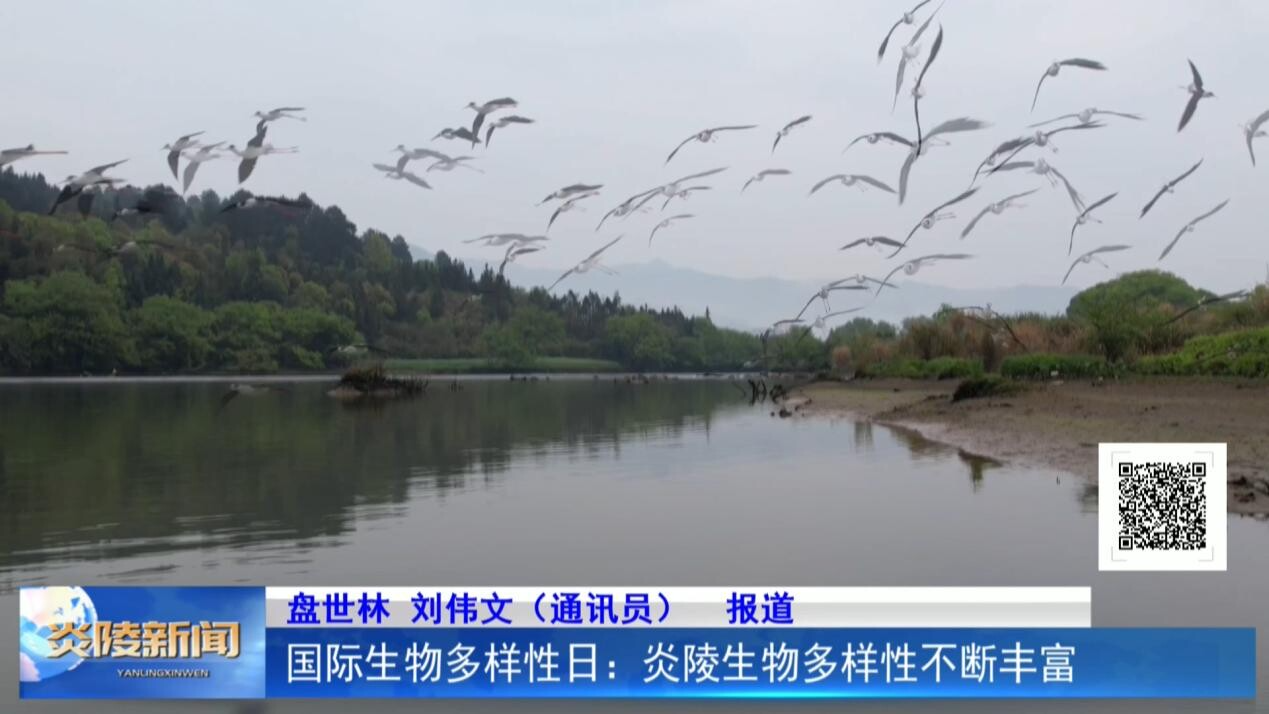 国际生物多样性日：炎陵生物多样性不断丰富
