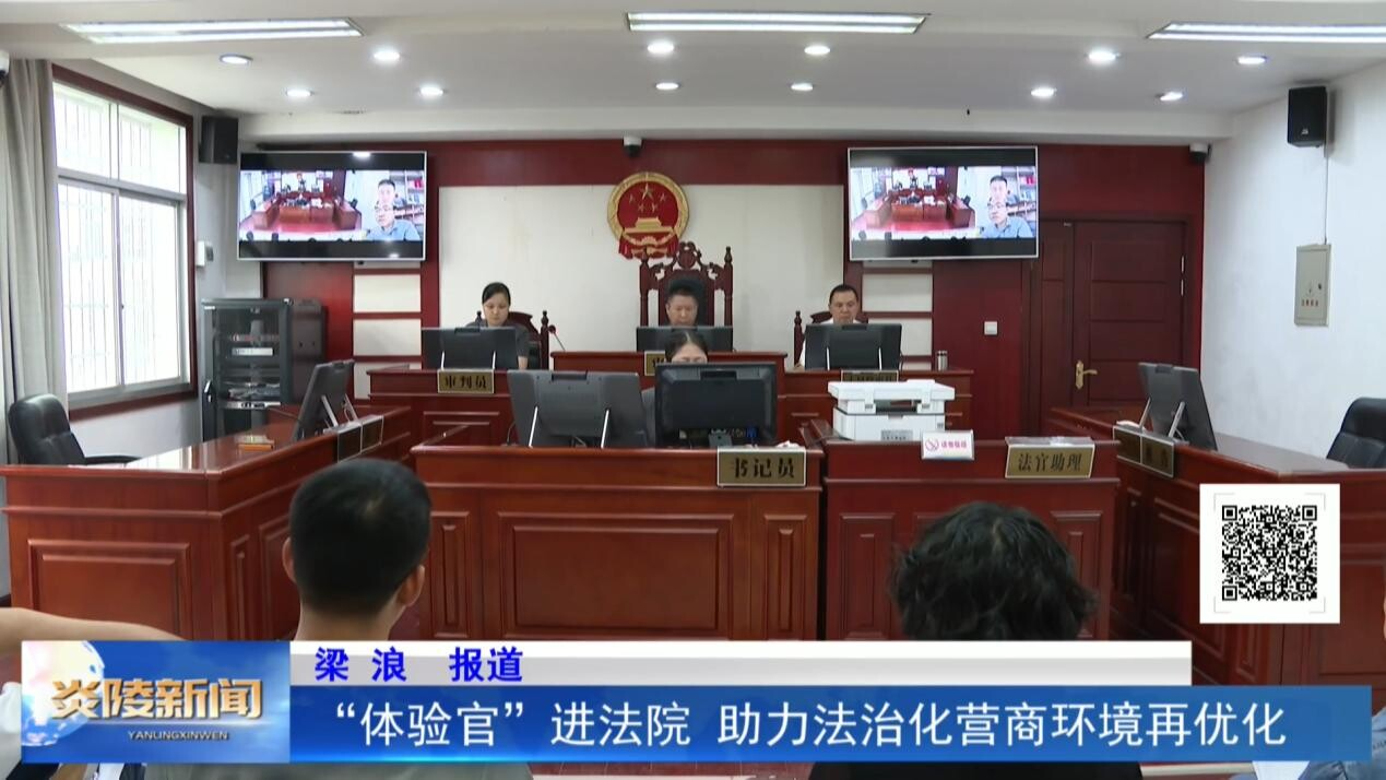 “体验官”进法院 助力法治化营商环境再优化