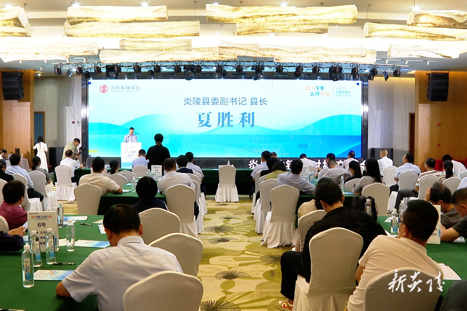 炎陵县举办2025年政银企对接交流会