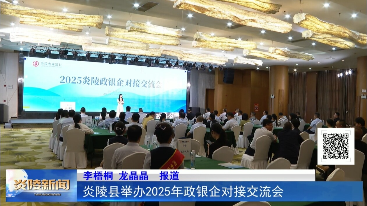 炎陵县举办2025年政银企对接交流会