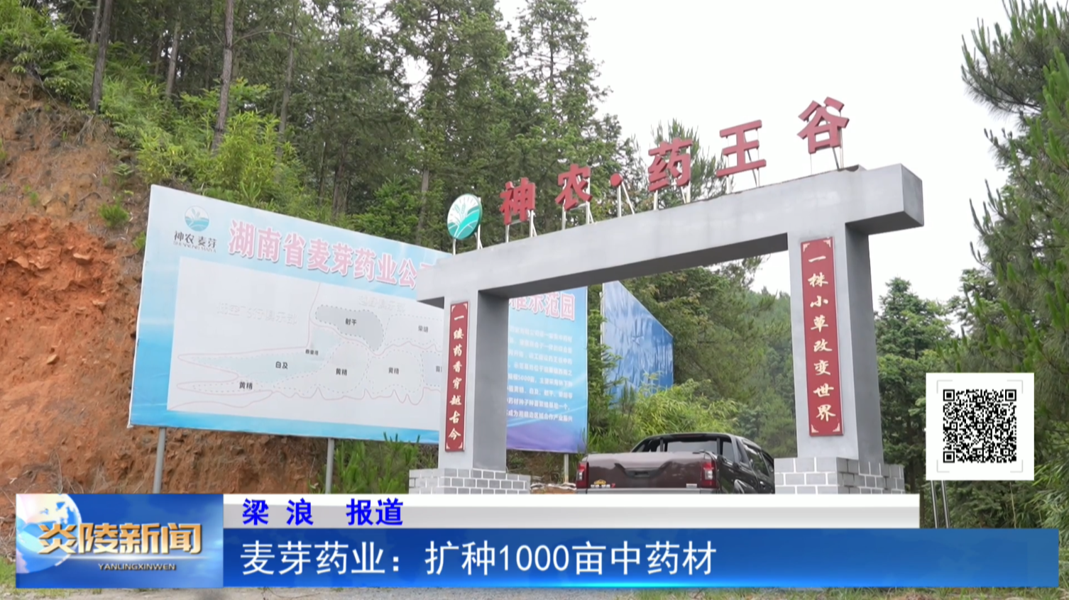 麦芽药业：扩种1000亩中药材