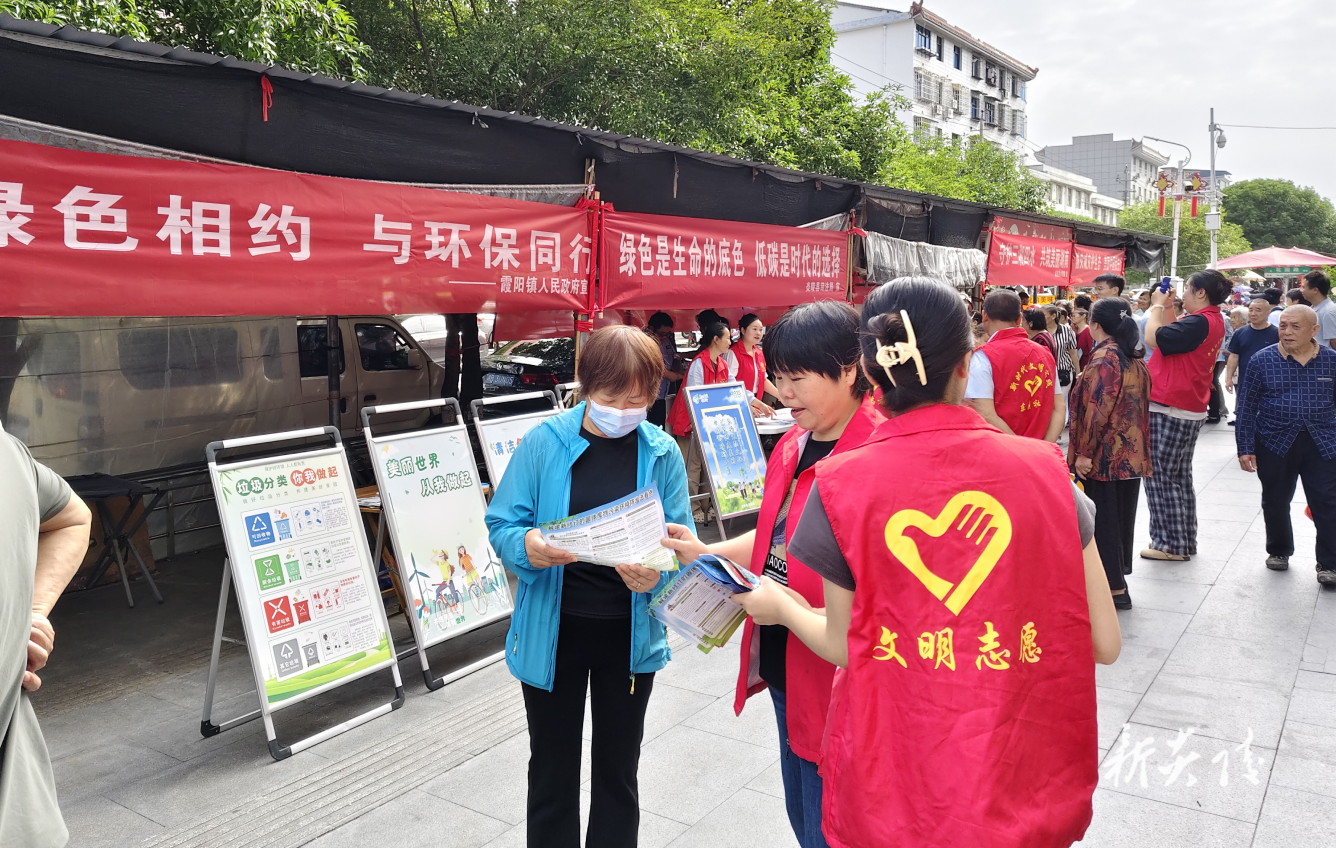 炎陵县霞阳镇开展“六五”环境日宣传活动