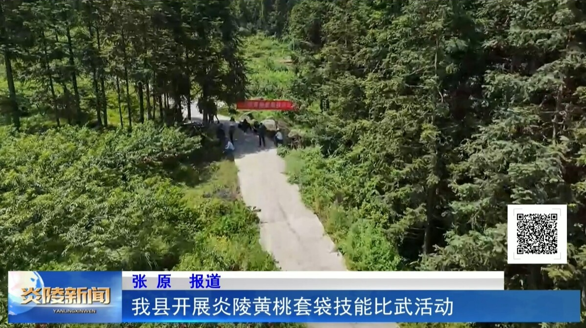 我县开展炎陵黄桃套袋技能比武活动