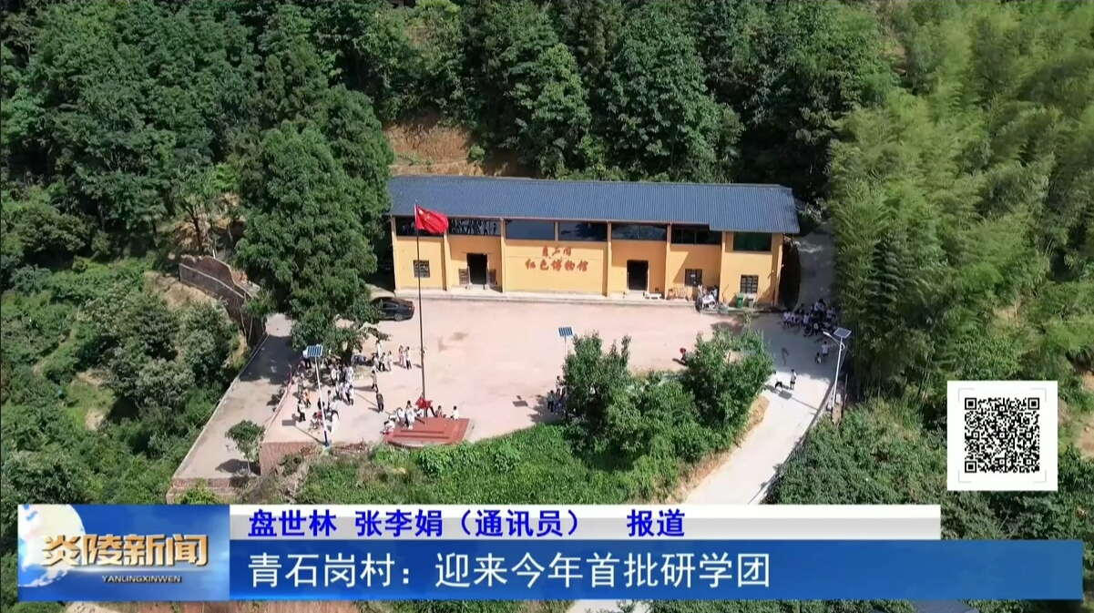 青石岗村：迎来今年首批研学团