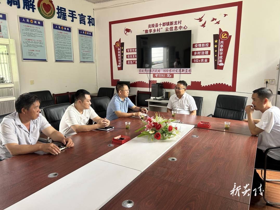 炎陵县十都镇：人大代表与村支两委共谋乡村振兴新路径
