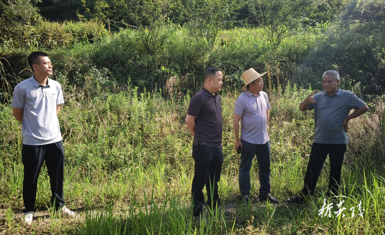 炎陵县自然资源局开展集中走访人大代表和政协委员活动