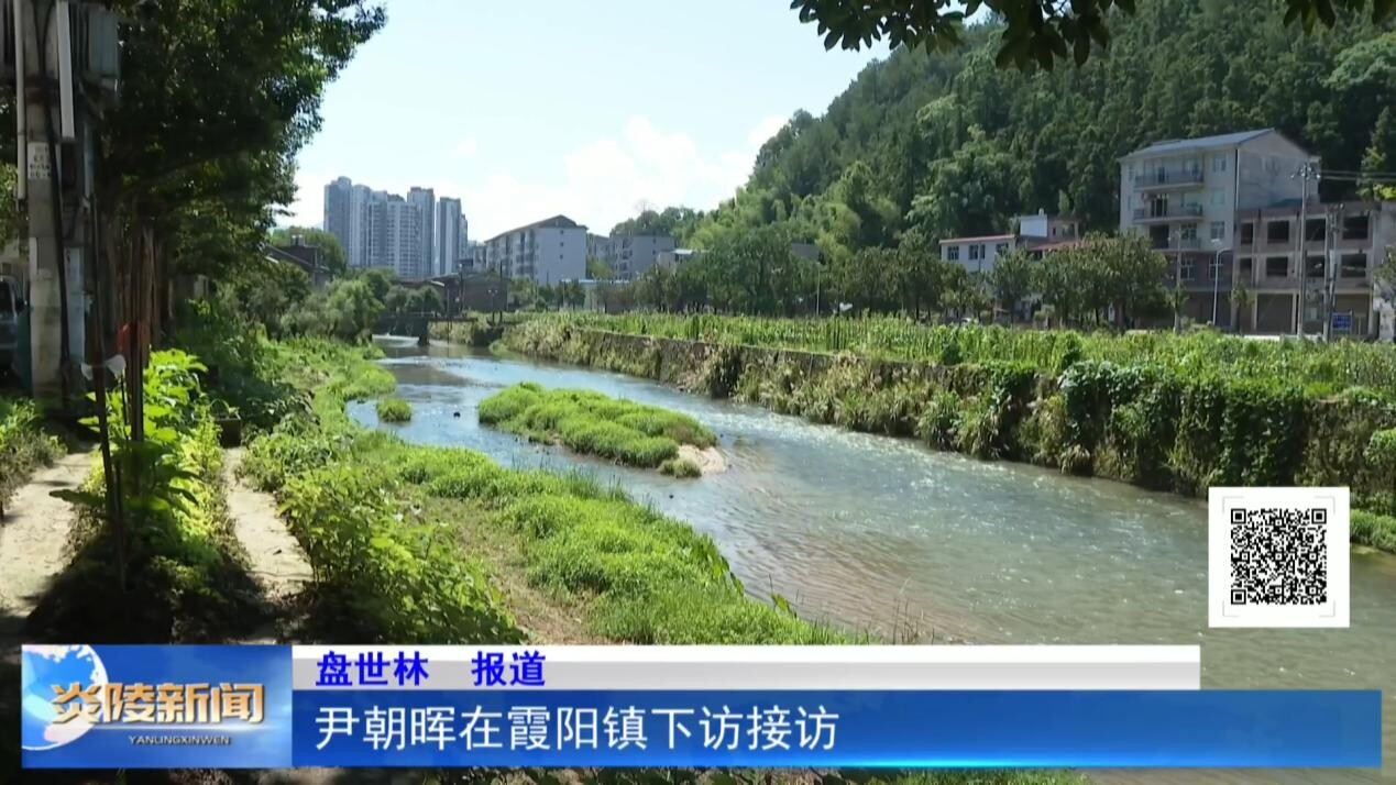尹朝暉在霞陽鎮(zhèn)下訪接訪