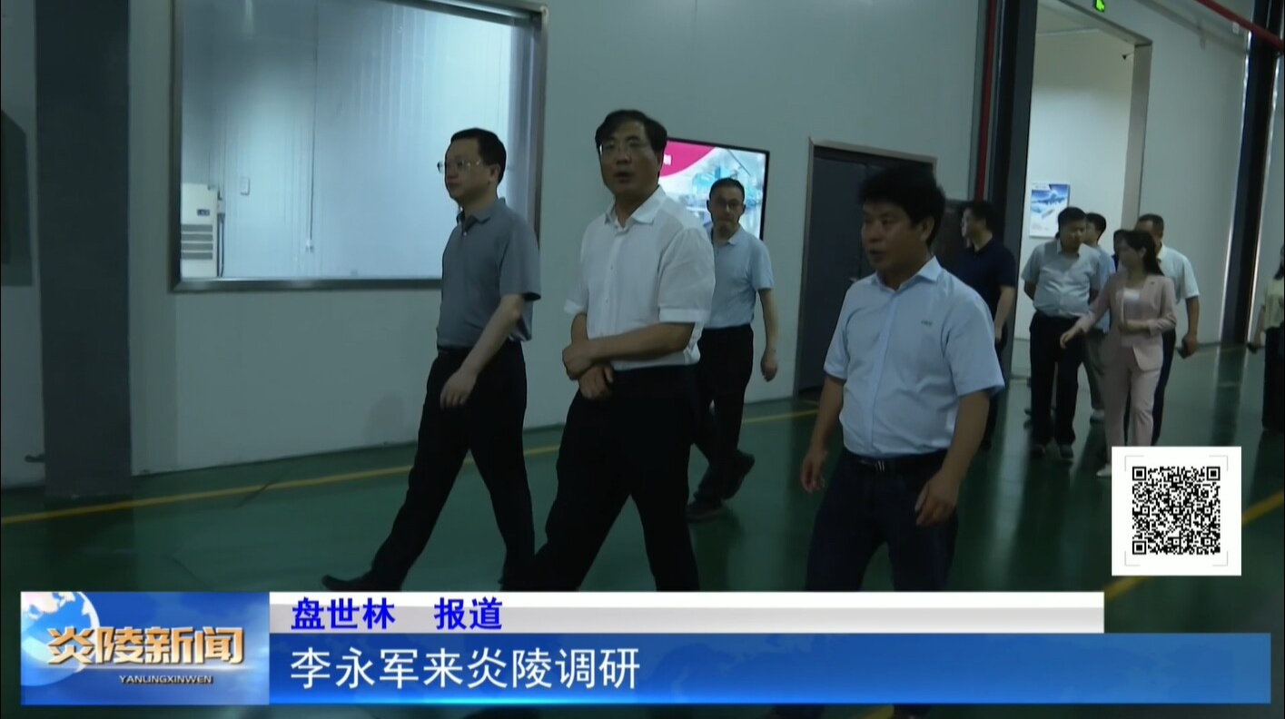 李永军来炎陵调研