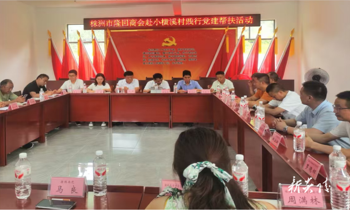 炎陵县下村乡：党建引领聚合力 商会帮扶助振兴