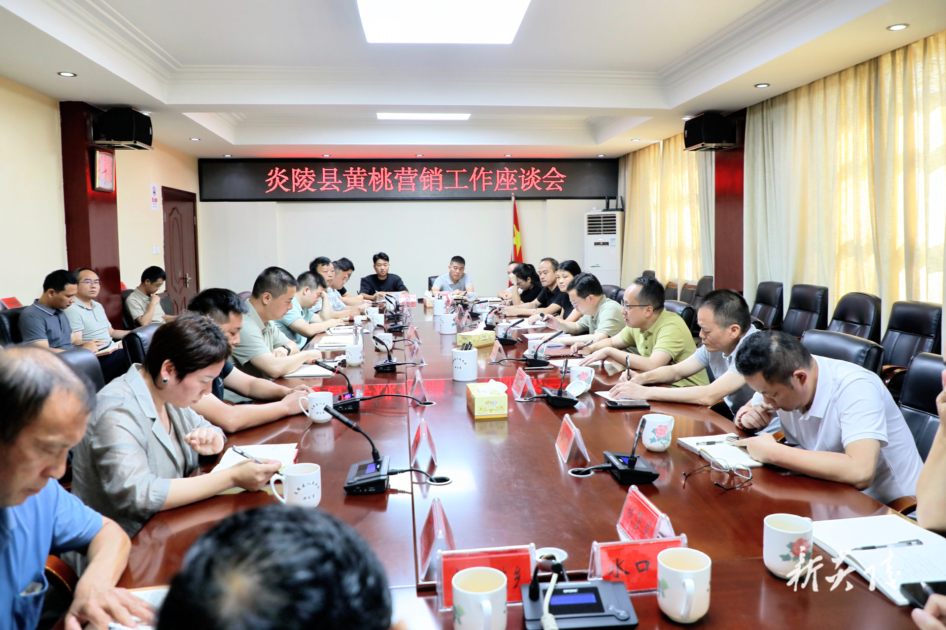 ​图文丨炎陵县召开炎陵黄桃营销工作座谈会